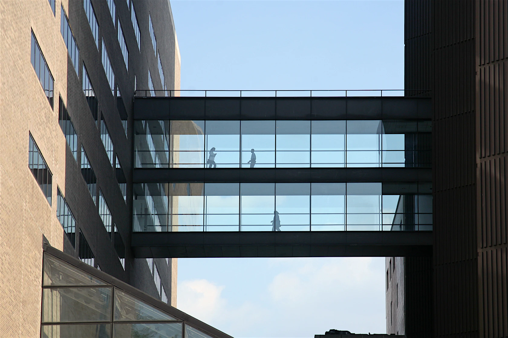 Silhouette of People walking on a bridge between two buildings, Mount Sinai Medical Center, New York City, NY, USA.